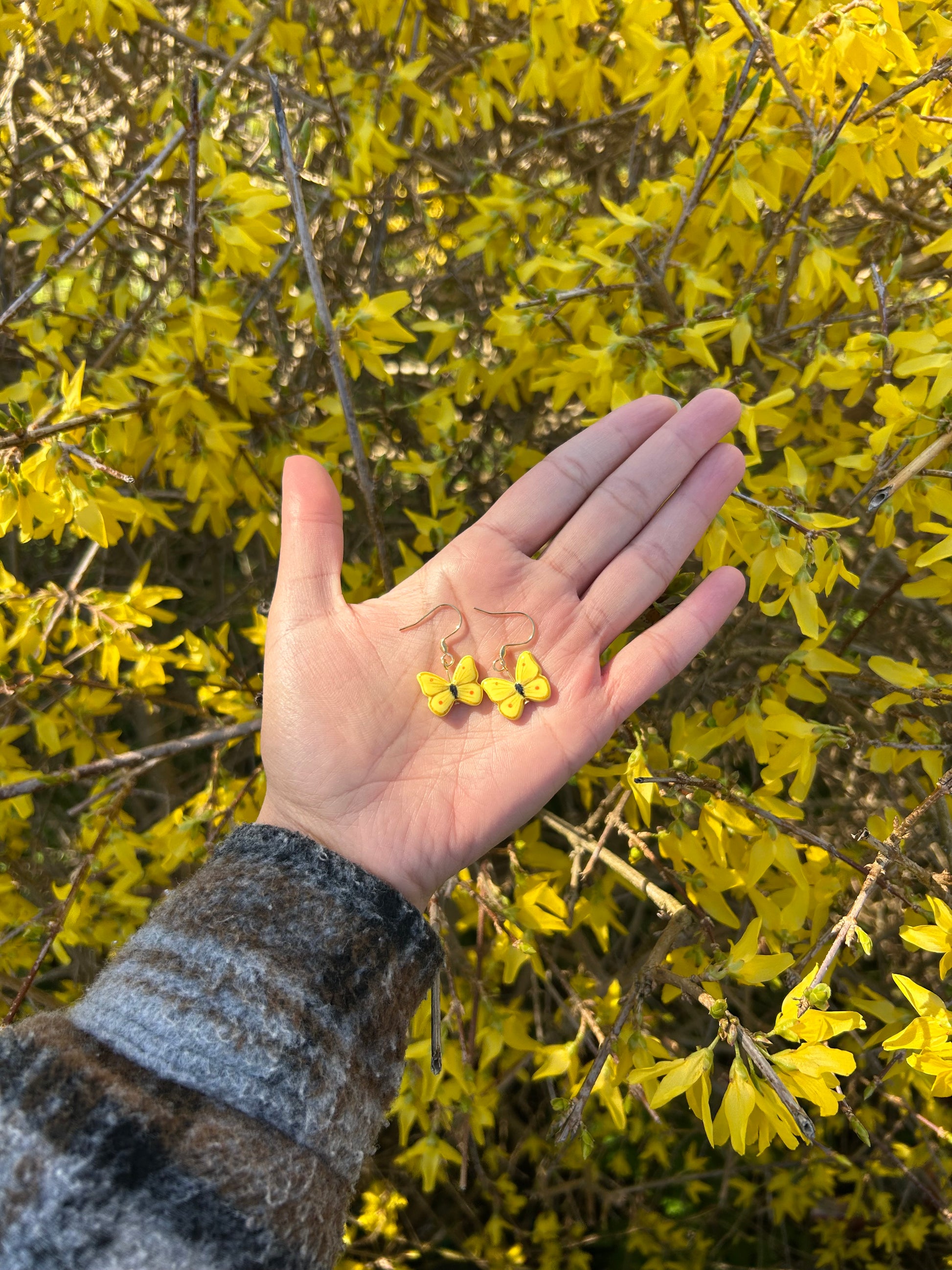 Zitronenfalter Ohrringe