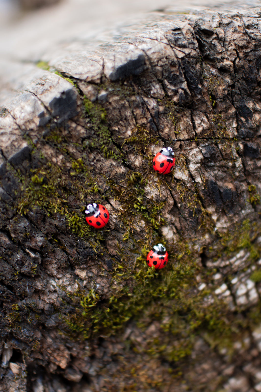 Ladybug Pin