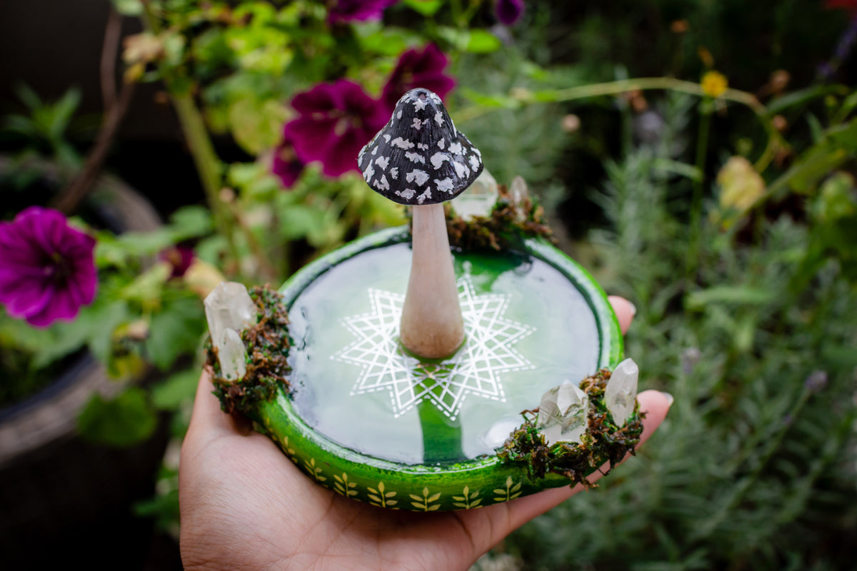 Coprinopsis Picacea Incense Holder