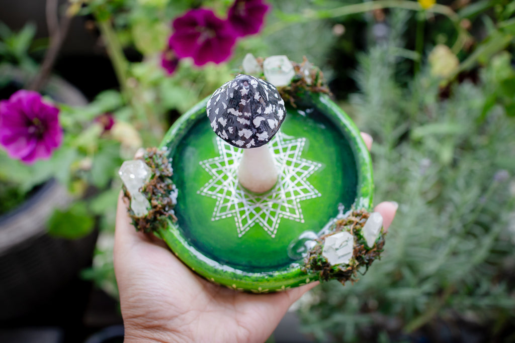 Coprinopsis Picacea Incense Holder
