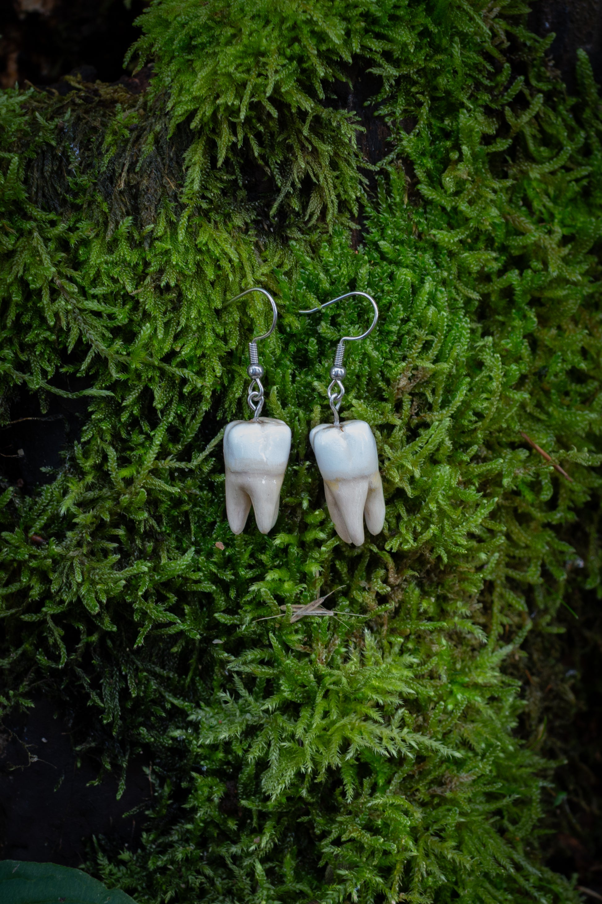 Tooth Earrings