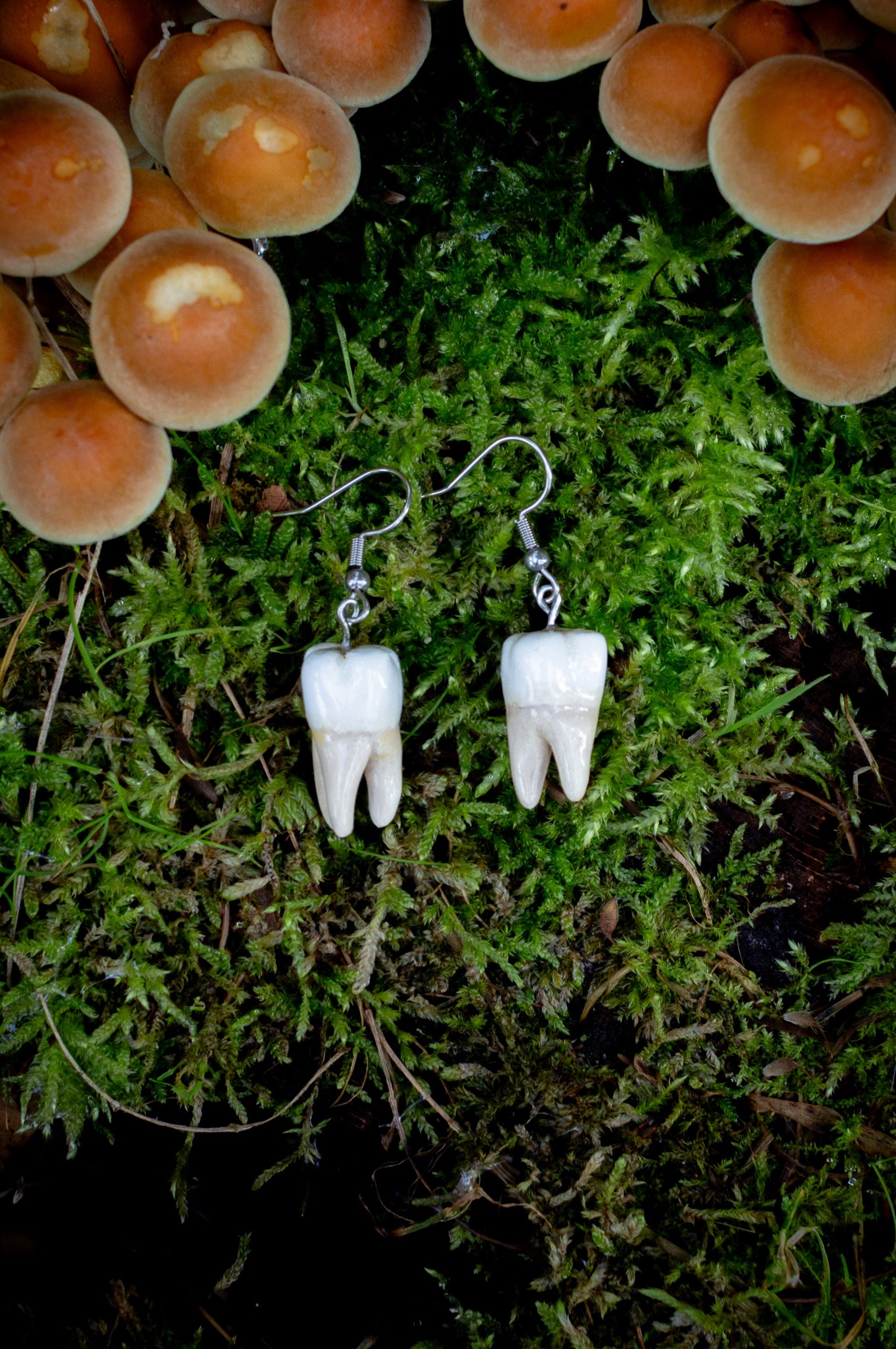 Tooth Earrings