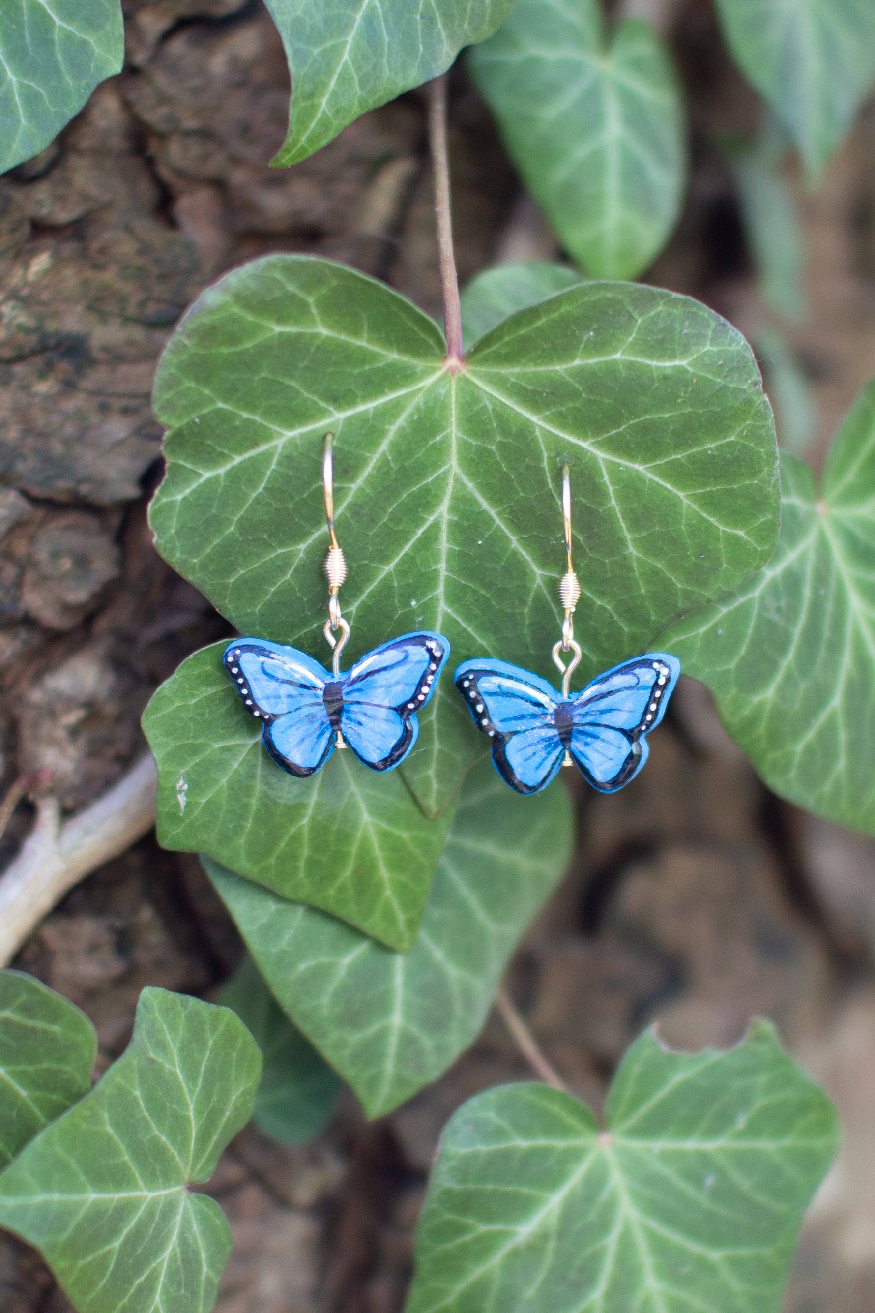 Blauer Morphofalter Ohrringe