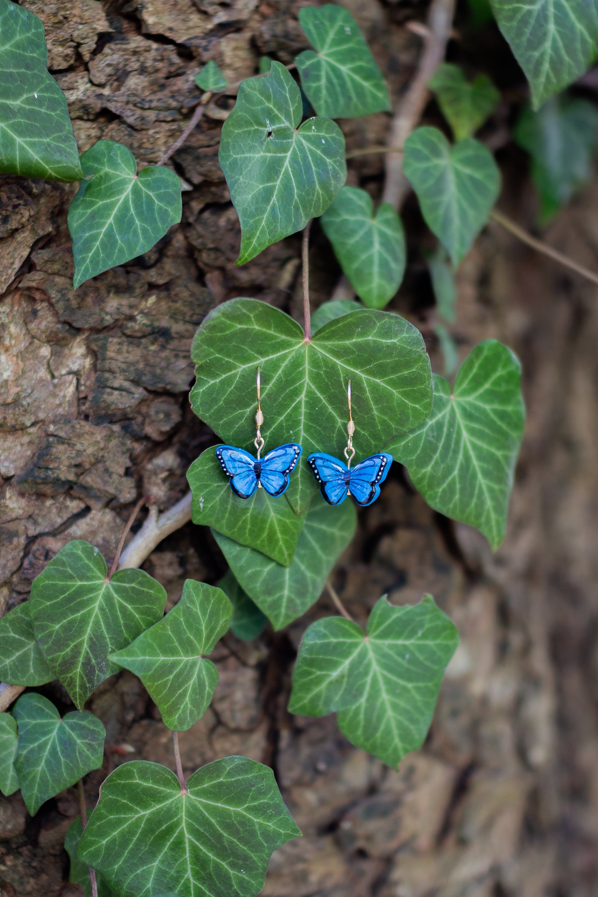 Blauer Morphofalter Ohrringe