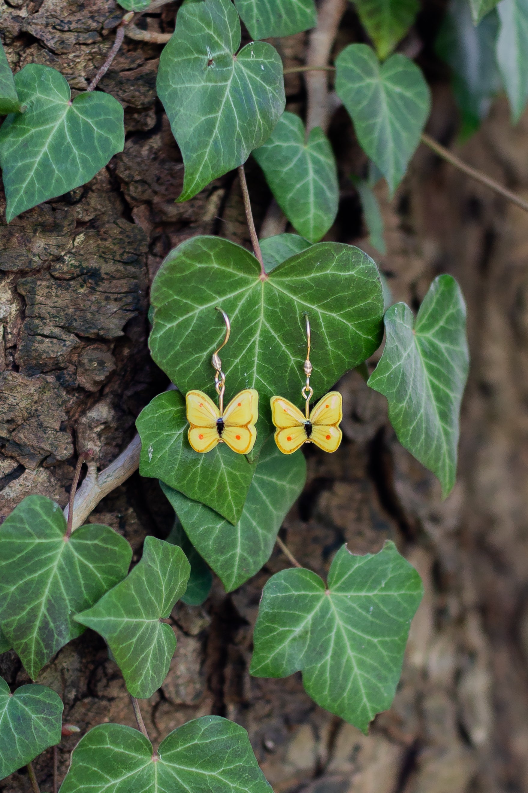 Zitronenfalter Ohrringe