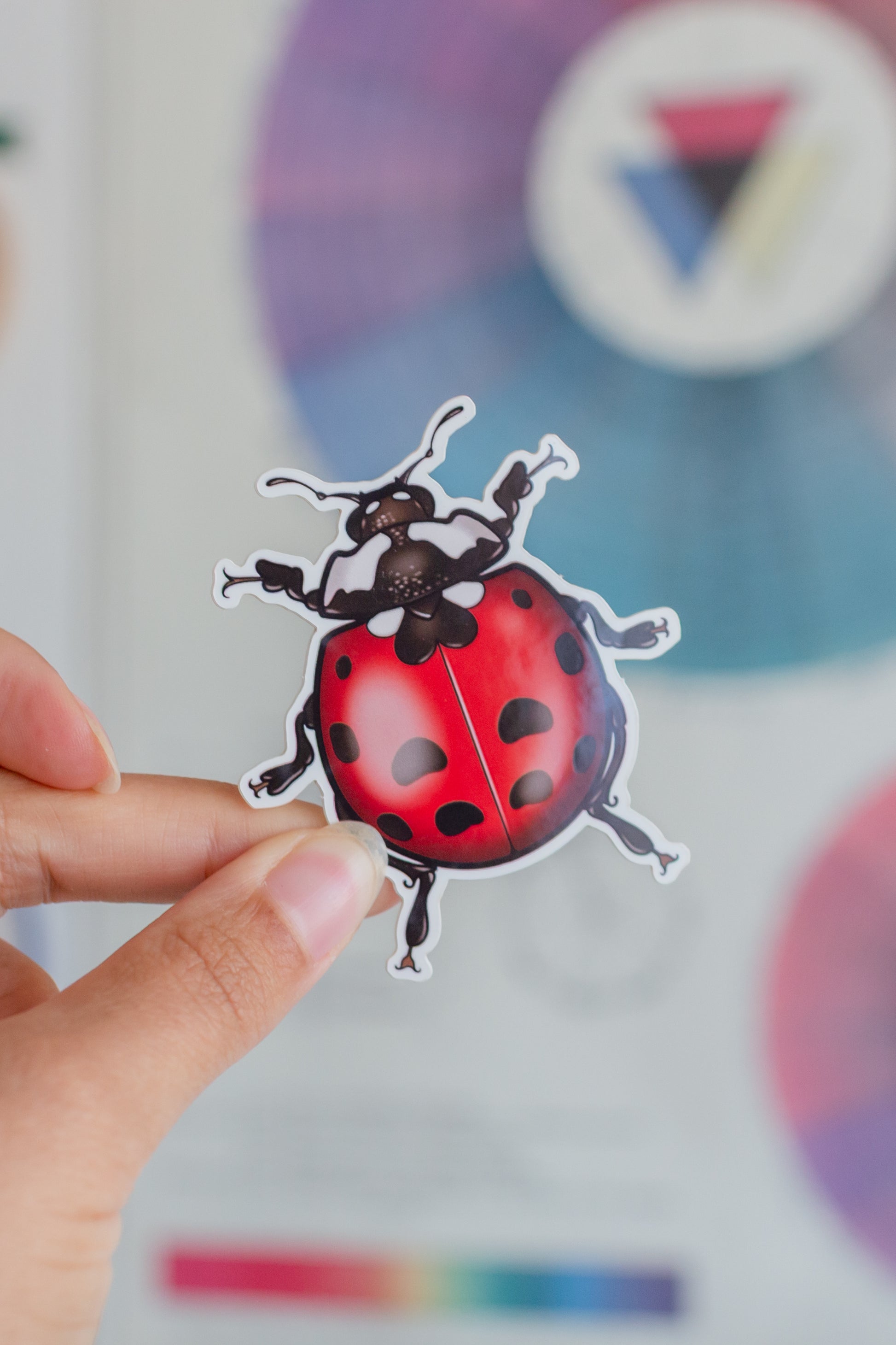 Ladybug Sticker