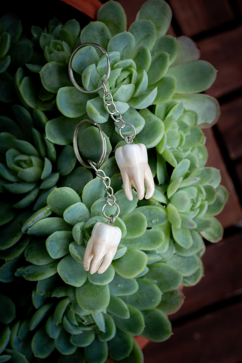 Lucky Tooth Keychain