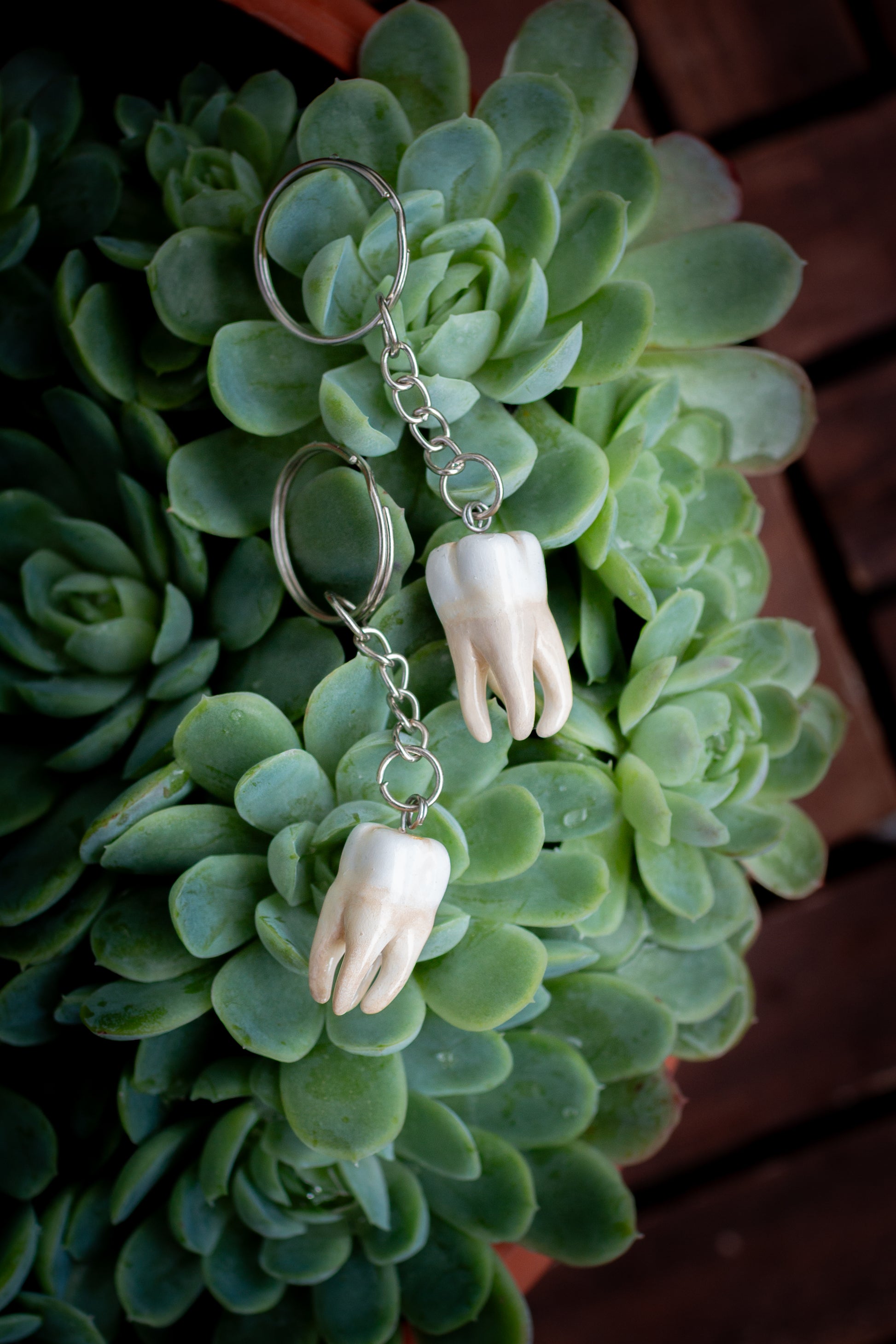 Lucky Tooth Keychain