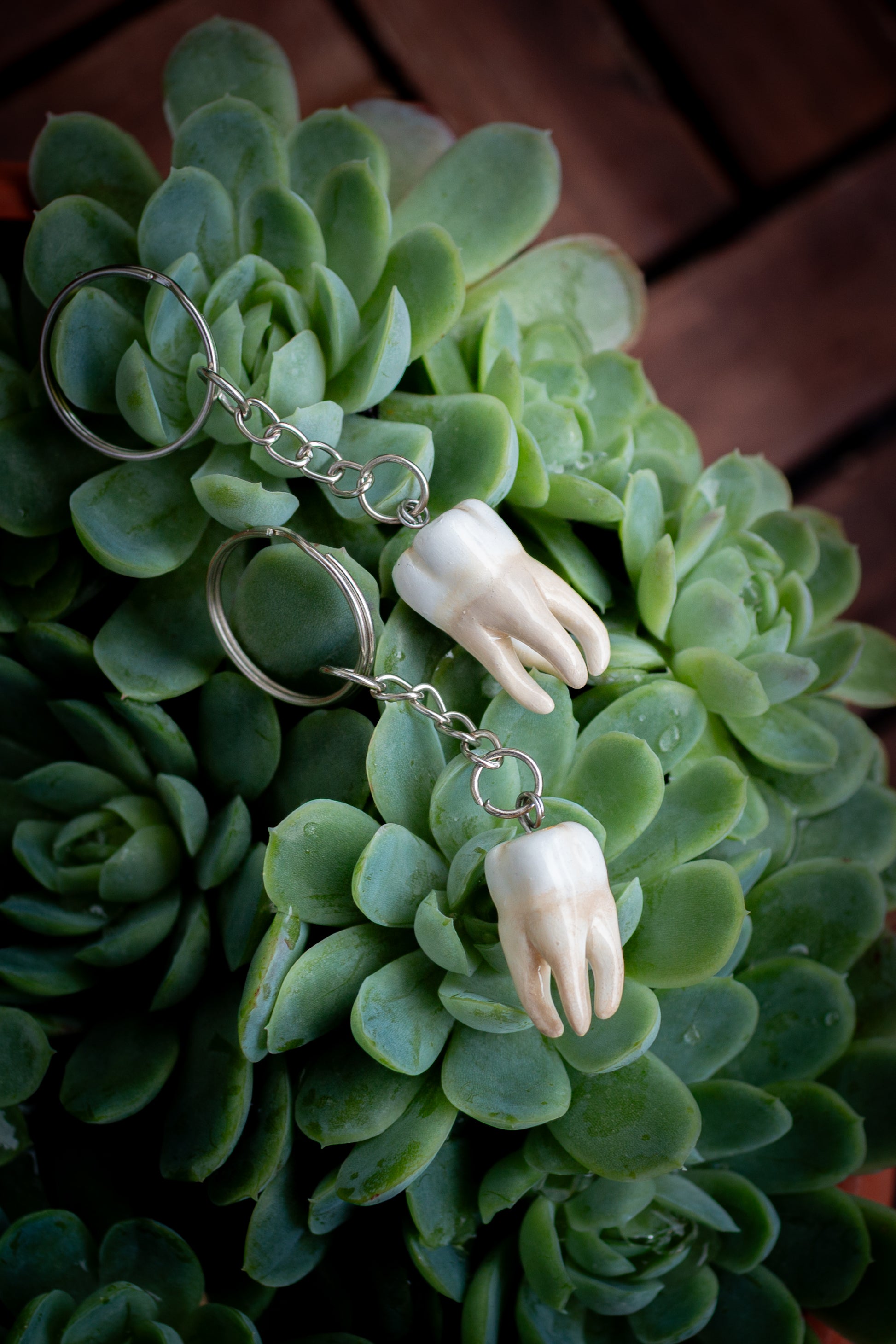 Lucky Tooth Keychain