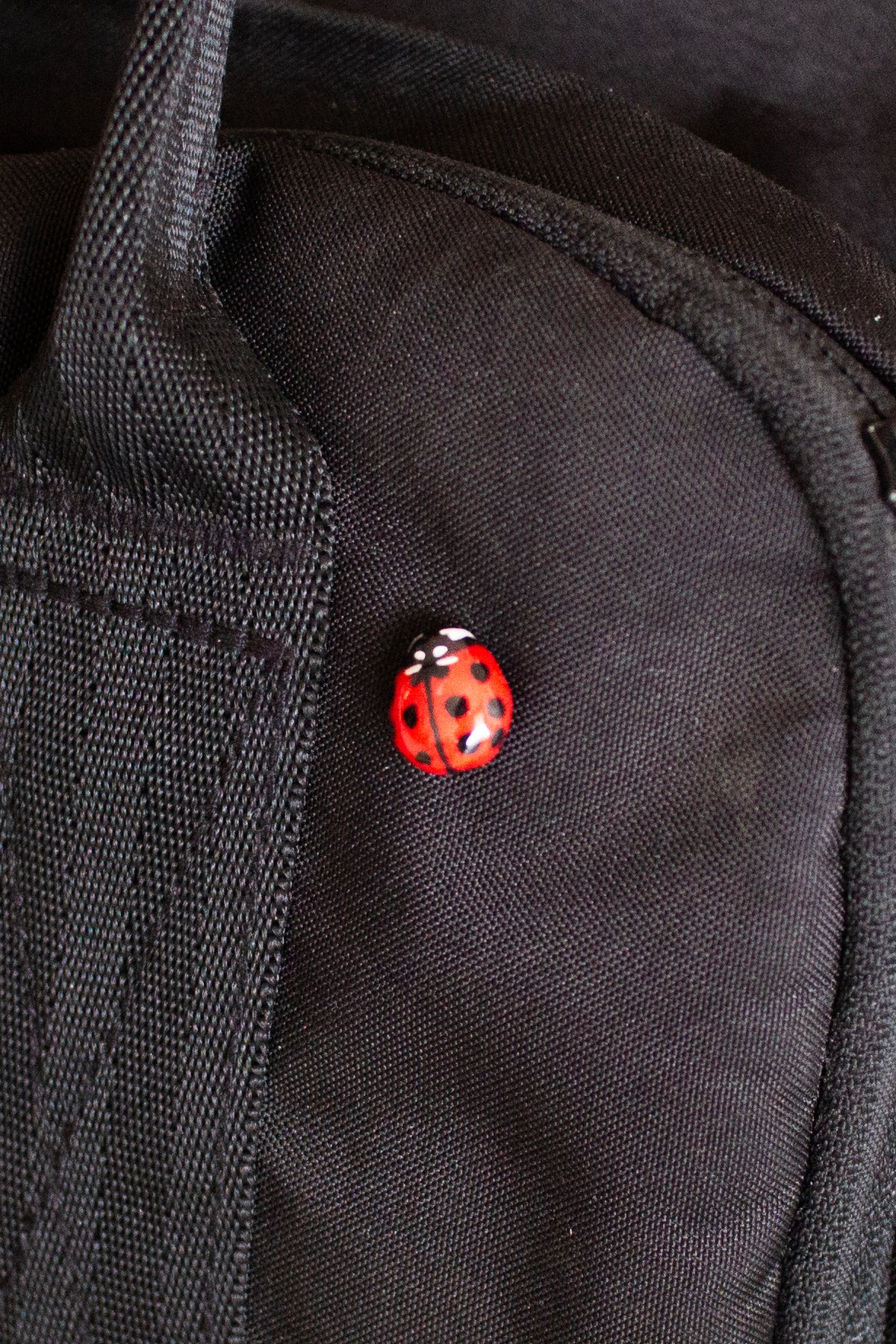 Ladybug Pin
