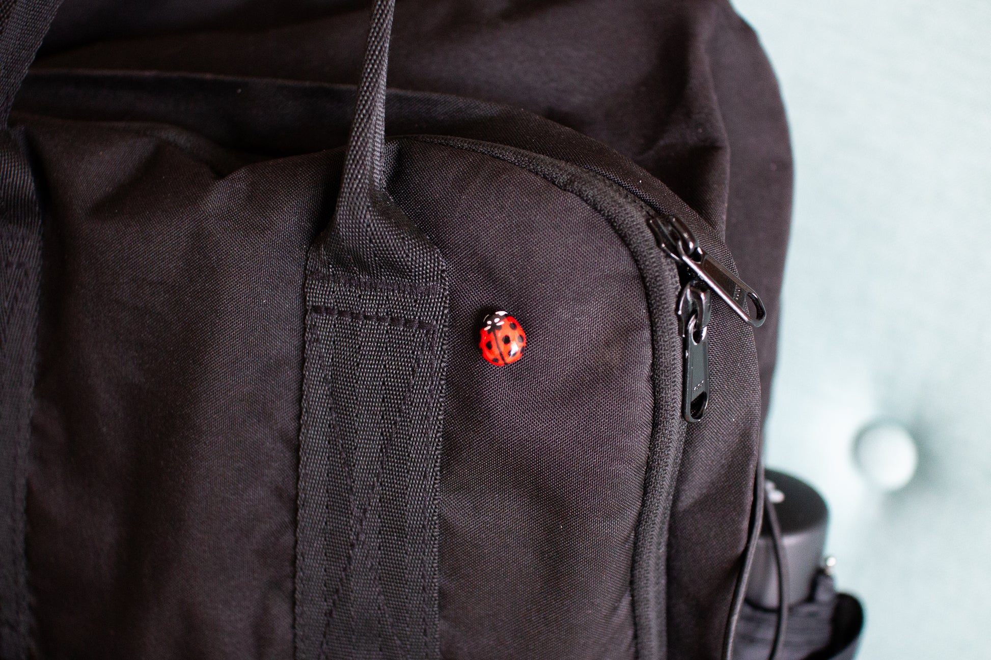 Ladybug Pin