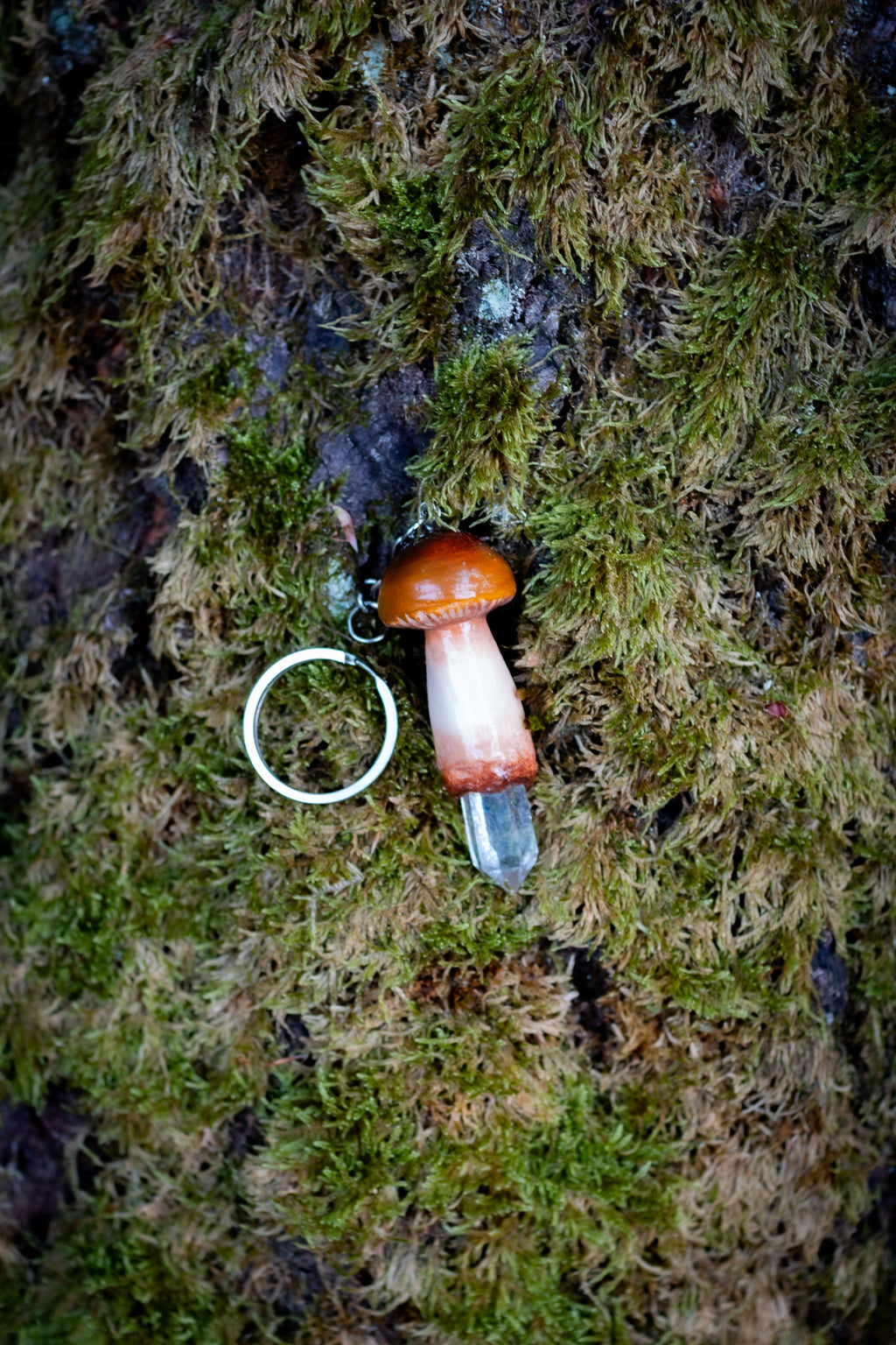 Agaricus Fuscofibrillosus Keychain Silver