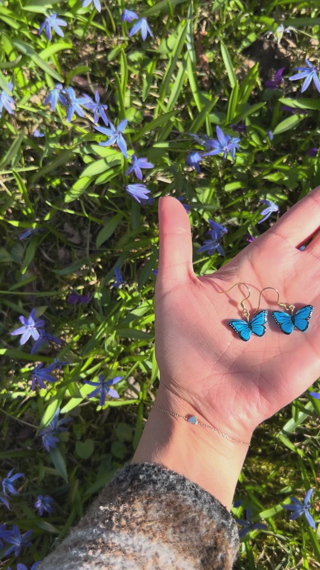 Blauer Morphofalter Ohrringe